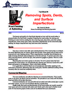 Removing Spots, Dents, and Surface Imperfections