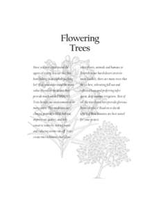 Flowering Trees Have you ever experienced the other plants, animals and humans to