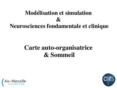Modélisation et simulation & Neurosciences fondamentale et clinique Carte auto-organisatrice & Sommeil