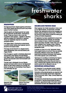 NORTHERN TERRITORY SEAFOOD COUNCIL  Protected Species Factsheets freshwater sharks