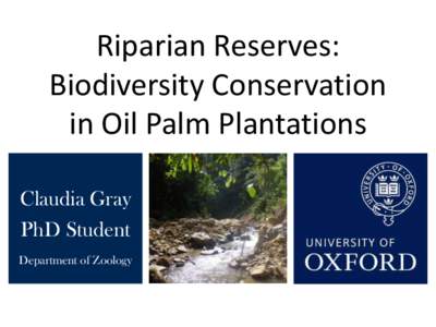 Riparian Reserves: Biodiversity Conservation in Oil Palm Plantations Claudia Gray PhD Student Department of Zoology
