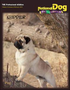 THE Professional eEdition Volume 16 January/February 2013 Gipper  Pug