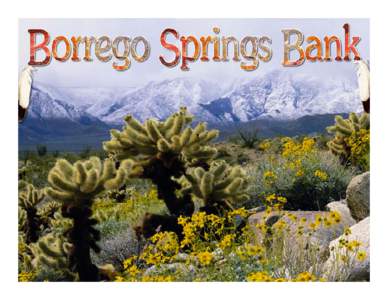 Borrego Springs  La Mesa Viejas