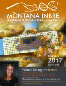 What’s Killing the Bees? MSU’s Michelle Flenniken discusses pathogens and other factors Mosquito-borne disease and risk assessment MSU’s Bob Peterson reflects on the role of scientists in a