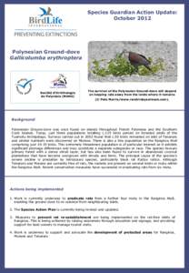 Species Guardian Action Update: October 2012 Polynesian Ground-dove Gallicolumba erythroptera