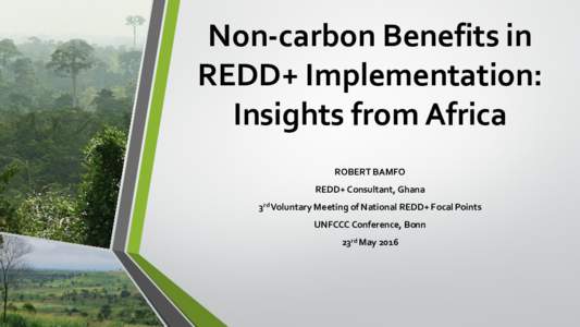 Non-carbon Benefits in REDD+ Implementation: Insights from Africa ROBERT BAMFO REDD+ Consultant, Ghana 3rd Voluntary Meeting of National REDD+ Focal Points