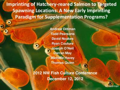 Imprinting of Hatchery-reared Salmon to Targeted Spawning Locations: A New Early Imprinting Paradigm for Supplementation Programs? Andrew Dittman Todd Pearsons David Noakes