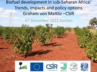 Biofuel development in sub-Saharan Africa: Trends, impacts and policy options Graham von Maltitz –CSIR 6th December 2011 Durban  Introduction
