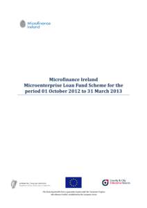 This financing benefits from a guarantee issued under the ‘European Progress Microfinance Facility’ established by the European Union. Microfinance Ireland Quarterly Report  Contents