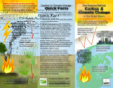 Before we started burning fossil fuels,  the carbon content of the air generally remained steady, but that carbon was still mobile. It was introduced into the atmosphere by natural processes, and absorbed into the land b