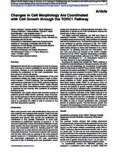 Changes in Cell Morphology Are Coordinated with Cell Growth through the TORC1 Pathway