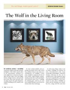 Do wolfdogs make good pets?  By Martha Schindler Connors The Wolf in the Living Room