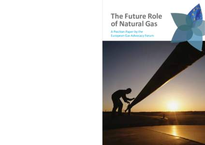 The Future Role of Natural Gas A Position Paper by the European Gas Advocacy Forum  The Future Role of Natural Gas
