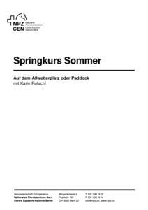 Springkurs Sommer Auf dem Allwetterplatz oder Paddock mit Karin Rutschi Springkurs Kurstag