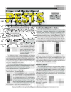 MF2271 Common Stored-Food Insect Pests: Home and Horticultural Pests