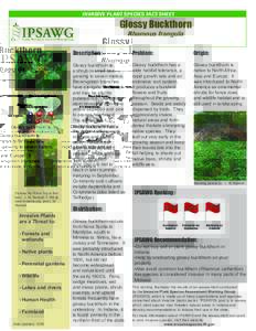 INVASIVE PLANT SPECIES FACT SHEET  Glossy Buckthorn Rhamnus frangula  Pictures By (From Top to Bottom): J. M. Randall, P. Mill @