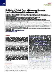 Bhlhb5 and Prdm8 Form a Repressor Complex Involved in Neuronal Circuit Assembly