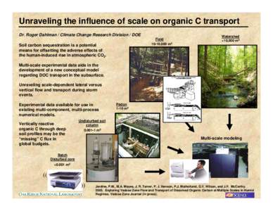 Microsoft PowerPoint - Scaling-carbon-transport.ppt