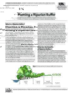 COOPERATIVE EXTENSION SERVICE • UNIVERSITY OF KENTUCKY COLLEGE OF AGRICULTURE, LEXINGTON, KY, ID-185 Planting a Riparian Buffer Carmen T. Agouridis and Sarah J. Wightman, Biosystems and Agricultural Engineering;
