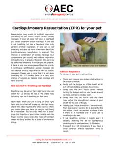 Australia’s state-of-the-art pet emergency trauma centres  Cardiopulmonary Resuscitation (CPR) for your pet Resuscitation may consist of artificial respiration (breathing for the animal) and/or cardiac (heart) massage.