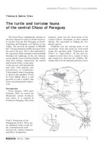 HABITAT OBSERVATIONS Thomas & Sabine Vinke The turtle and tortoise fauna of the central Chaco of Paraguay The Gran Chaco undoubtedly belongs to
