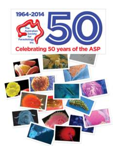 ASP 50 Years - lower - outlines