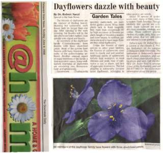 Dayflowers dazzle with beauty By Dr. Robert Naczi Special to the State News The blooms of dayflowers are the essence of fleeting beauty. Stunning but ephemeral, each