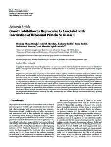 Protein kinases / Mammalian target of rapamycin / Eukaryotic initiation factor / P70S6 kinase / AKT / Phosphoinositide 3-kinase / Crosstalk / MAPK/ERK pathway / Phosphoinositide-dependent kinase-1 / Biology / Biochemistry / Signal transduction