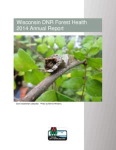 Wisconsin DNR Forest Health 2014 Annual Report
