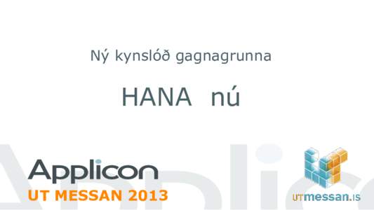 Ný kynslóð gagnagrunna  HANA nú UT MESSAN 2013