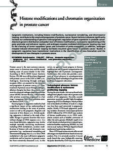 Review Histone modifications and chromatin organization in prostate cancer ro