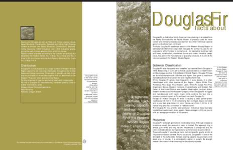 DouglasFir facts about Douglas Fir, a distinctive North American tree growing in all states from the Rocky Mountains to the Pacific Ocean, is probably used for more lumber and lumber product purposes than any other indiv