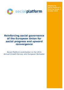 Adopted by Social Platform’s Steering Group, 1 OctoberReinforcing social governance