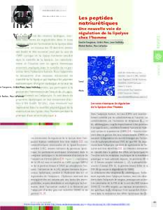 MEDECINE/SCIENCES 2005 ; 21 : 61-5  Les peptides natriurétiques REVUES