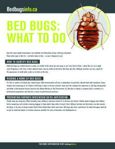 Bedbugsinfo.ca  BED BUGS: WHAT TO DO Even the most vigilant homeowners can suddenly find themselves facing a bed bug infestation. Know what signs to look for – and what steps to take – in case it happens to you.