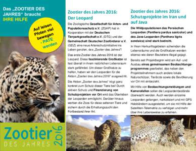 Das „ZOOTIER DES JAHRES“ braucht IHRE HILFE Zootier des Jahres 2016: Der Leopard