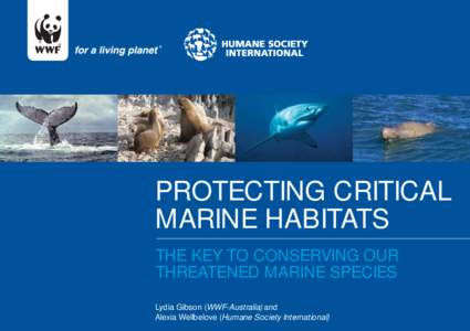 PROTECTING CRITICAL MARINE HABITATS THE KEY TO CONSERVING OUR THREATENED MARINE SPECIES PROTECTING MARINE CRITICAL HABITATS: Lydia Gibson (WWF-Australia) and