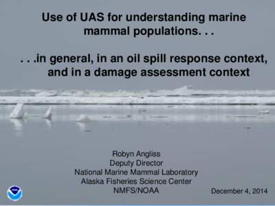 Use of UAS for understanding marine mammal populationsin general, in an oil spill response context, and in a damage assessment context  Robyn Angliss
