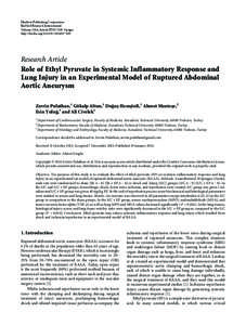Role of Ethyl Pyruvate in Systemic Inflammatory Response and Lung Injury in an Experimental Model of Ruptured Abdominal Aortic Aneurysm