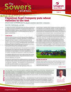 ISSUE 11  Capistran Seed Company puts wheat varieties to the test Field-scale research and in-depth analysis land the company, and its customers, on top
