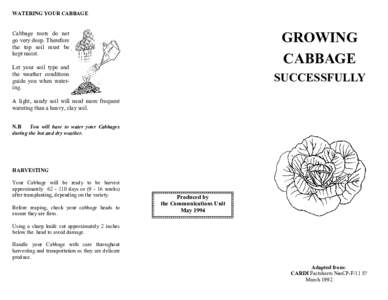 WATERING YOUR CABBAGE  GROWING CABBAGE  Cabbage roots do not