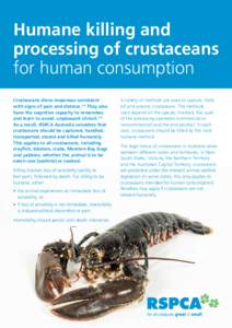 Humane killing and processing of crustaceans for human consumption Crustaceans show responses consistent with signs of pain and distress.1-6 They also have the cognitive capacity to remember,