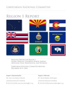 Libertarian National Committee Region 1 Report