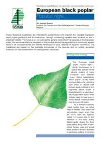 Technical guidelines for genetic conservation and use  European black poplar Populus nigra EUFORGEN
