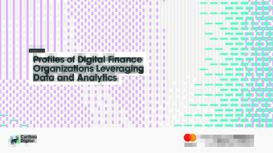 Supplementary  Profiles of Digital Finance Organizations Leveraging Data and Analytics