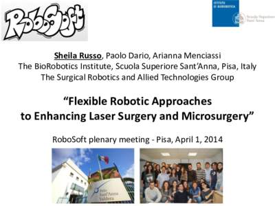 Sheila Russo, Paolo Dario, Arianna Menciassi The BioRobotics Institute, Scuola Superiore Sant’Anna, Pisa, Italy The Surgical Robotics and Allied Technologies Group “Flexible Robotic Approaches to Enhancing Laser Surg
