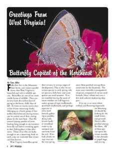 Greetings From West Virginia! Tom Allen  Butterfly Capital of the Northeast