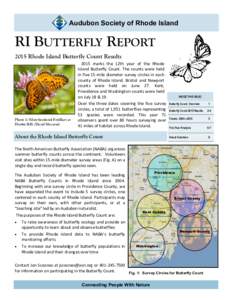 Audubon Society of Rhode Island  RI BUTTERFLY REPORT 2015 Rhode Island Butterfly Count Results  Butterfly Image