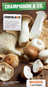 CHAMPIGNON & CO. CONSIGLIAMO Tutto quello che c’è da sapere sui classici funghi commestibili e come trasformarli in