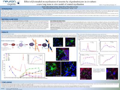Effect of b-estradiol on myelination of neurons by oligodendrocytes in co-culture: a new long term in vitro model of central myelination ASENT, 14th Annual Meeting Washington, DC  Noelle Callizot, Maud Combes, Sylvain Ei